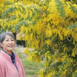 国際女性デーのシンボル ガーデンファームで満開＜3月中旬まで見ごろ＞